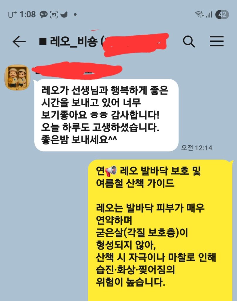 비숑프리제 레오, 맡겨봄과 행복한 시간을 보내는 모습에 감동한 보호자 카톡 후기