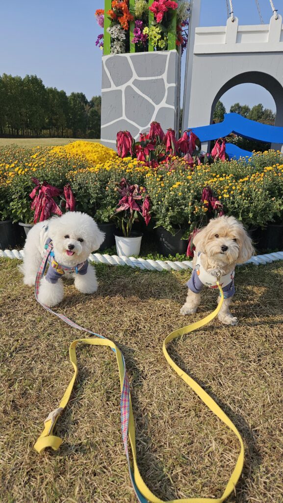 드림파크에 소풍을 갔지요.